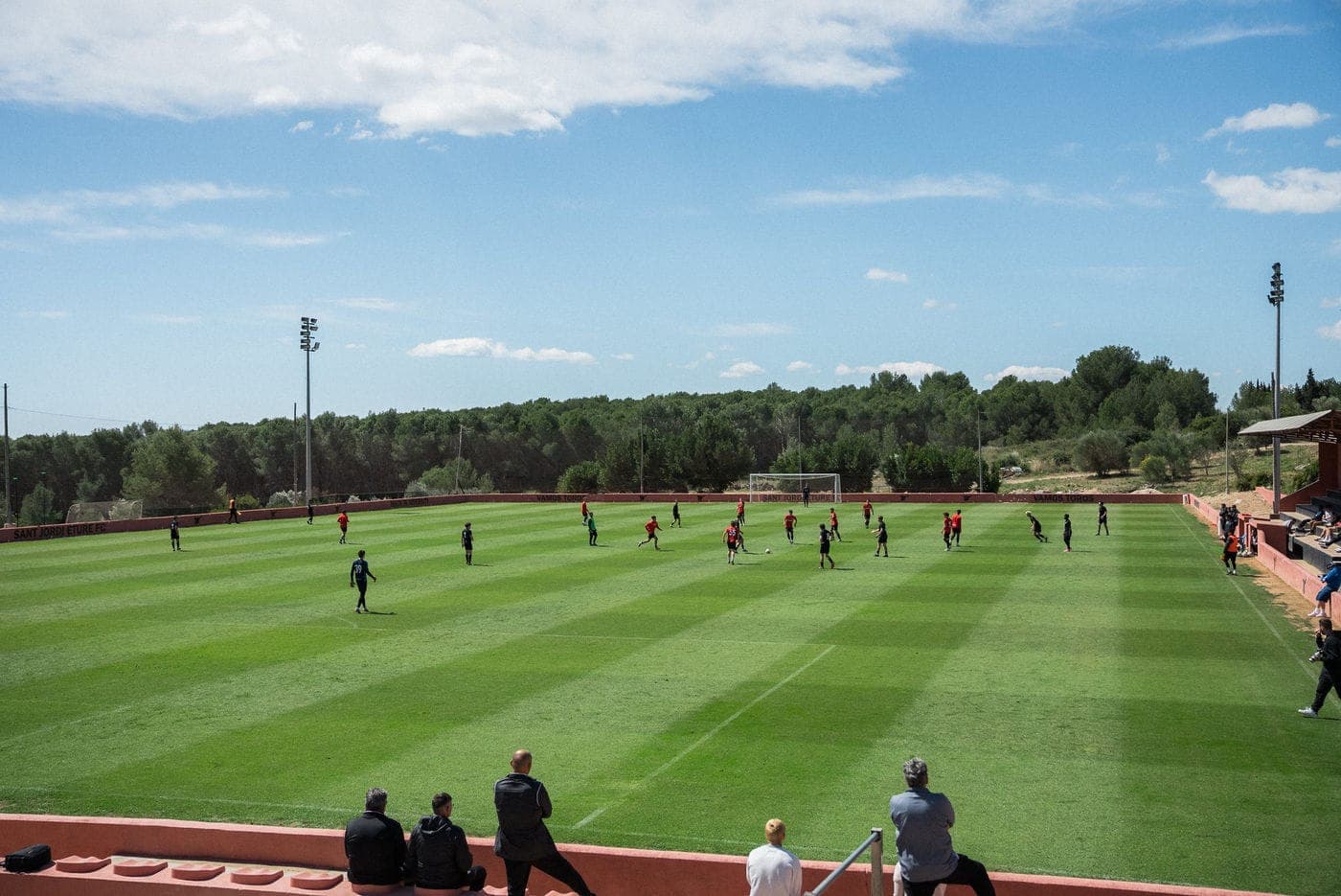 Training & development
