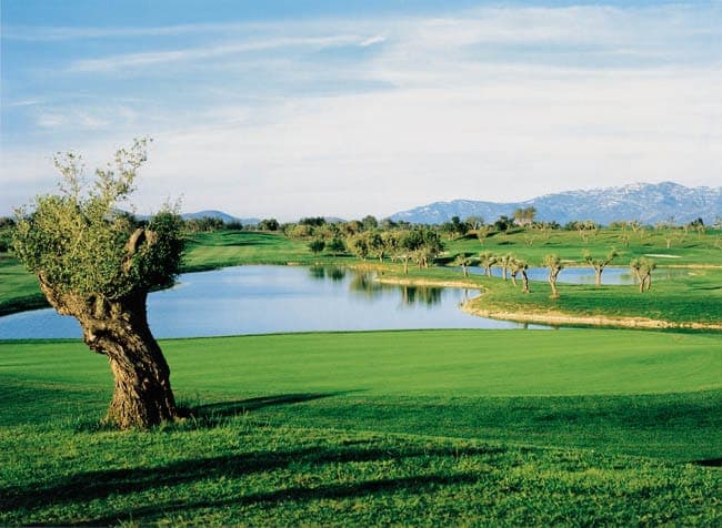 The golf course beside the campus